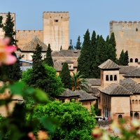 Spanish Wonder, 9 Days