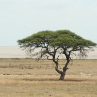 Nairobi to Vic Falls 19 Days