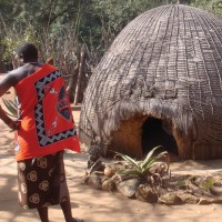African Magic 49 Days