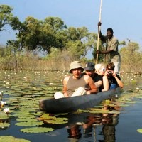 Vic Falls to Cape 19 Days