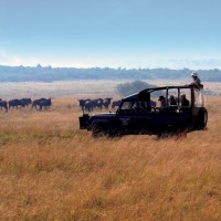 Southern Africa Loop 39 Days