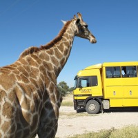 Grand Africa 73 Days
