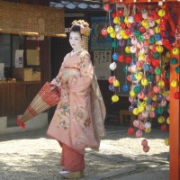 Japanese Highlights 7 Days
