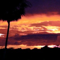 Canaima 79 Days