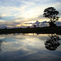 Amazonia 70 Days