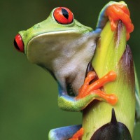 Grand Central & Costa Rica 49 Days