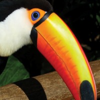 Best of South America 44 Days