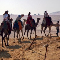 Petra to Pyramids 10 Days