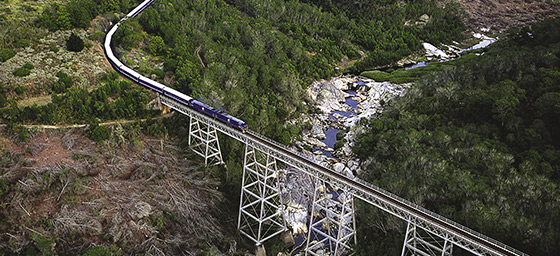 Take an unforgettable journey on the Blue Train