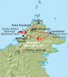 Orang-utan-go (Family)