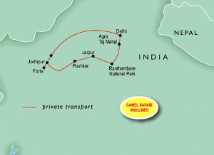 Tigers, Temples & the Taj Mahal