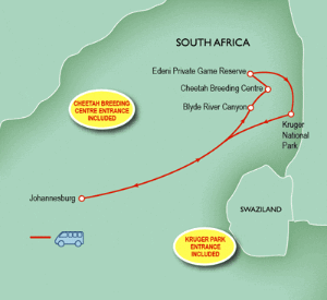 8 Day tour departing Johannesburg - Highlights Johannesburg, Kruger National Park