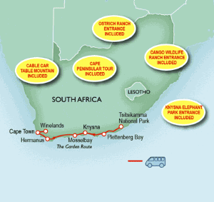 11 Day tour departing Cape Town - Highlights Cape Town, Victoria, Seal Island, Hermanus, Plettenberg Bay, Knysna