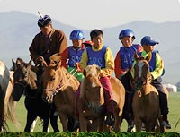 Naadam Adventure