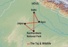8 Day tour departing Delhi - Highlights Delhi, Agra, Jaipur, Ranthambore