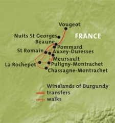 Winelands of Burgundy (self-guided)