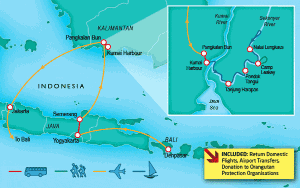 8 Day tour departing Bali - Highlights Borobudur, Jakarta