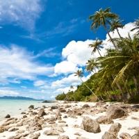 samui