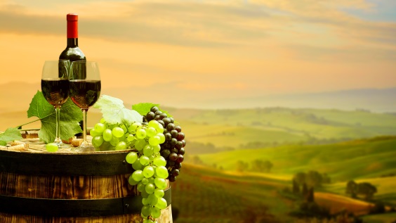 Wine Tours of Italy