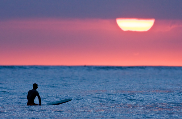 Hawaii surfing