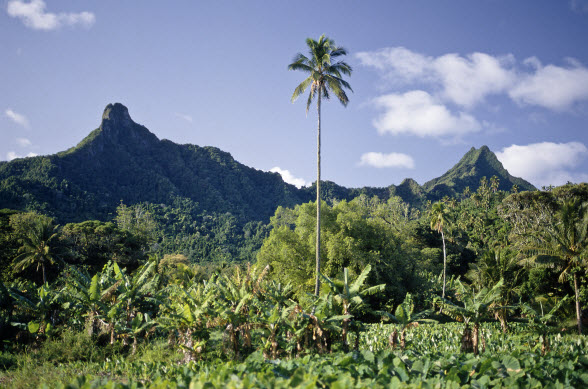 Image result for rarotonga volcano