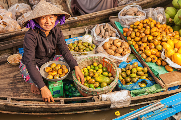 A woman sells fruit and vegetables from a boat along the Mekong.
