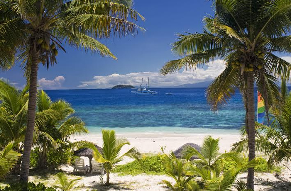 Fiji beach and palms.