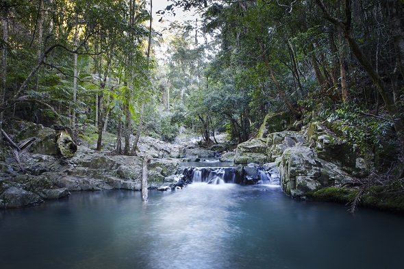  Currumbin Rock Pool waterfall.