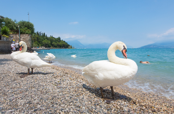 Sirmio peninsular beach