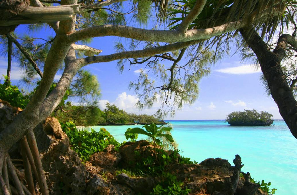 New Caledonia Ocean view through trees.