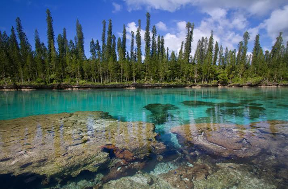 The New Caledonia Blue lagoon.