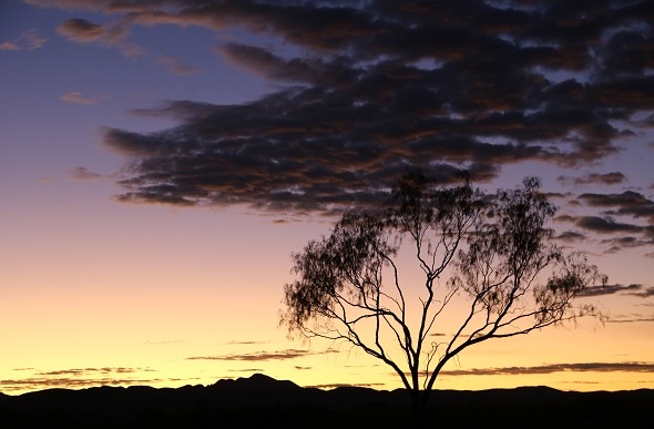  Sunrise on the Larapinta Trail NT