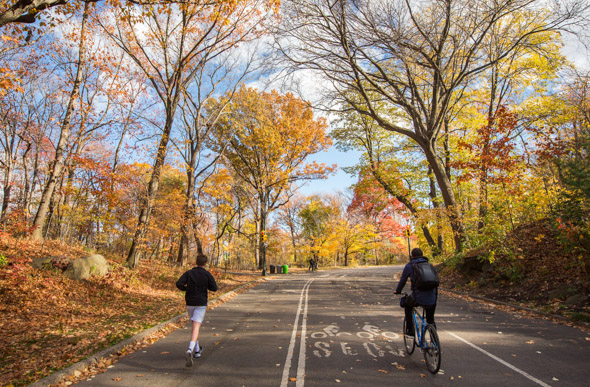 Central Park