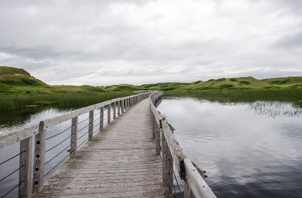 Greenwich boardwalk on Prince Edward Island 