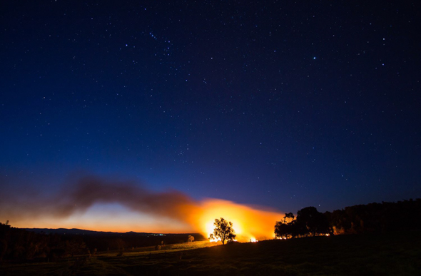 Burning off forest