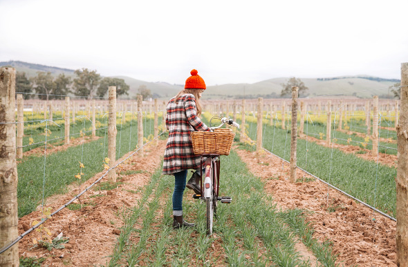 A female hops on a bicycle to explore the vineyards of South Australia's wine-making regions