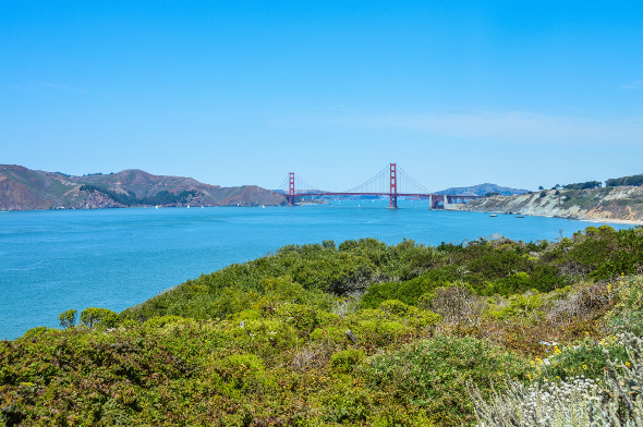 view of the golden gate bridge from lands end san francisco