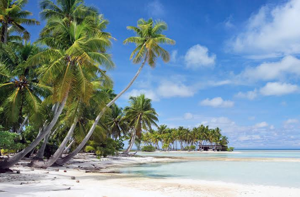 Tahiti beach and palms.