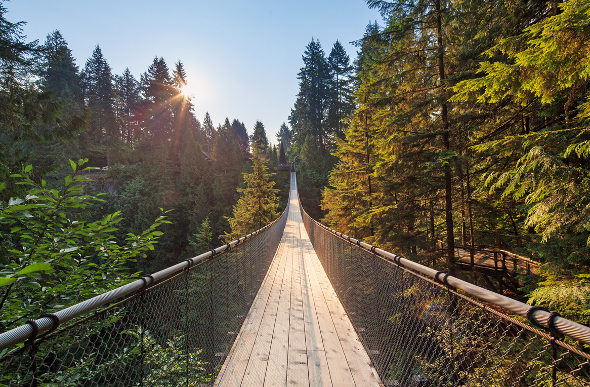 A close-up view of the Capilano Suspension Bridge