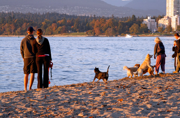 People and dogs enjoy the off-leash area of Vanier Park along Kitsilano Beach