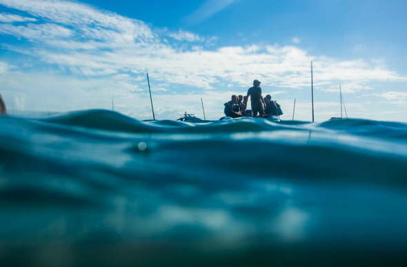 Divers in the Whitsundays