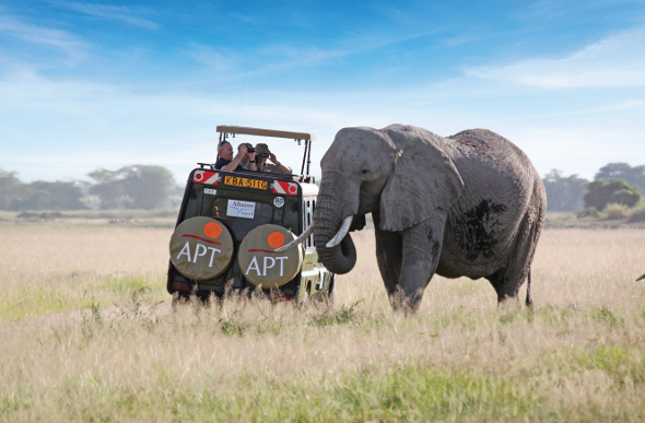 An elephant near a safari 4WD in Africa
