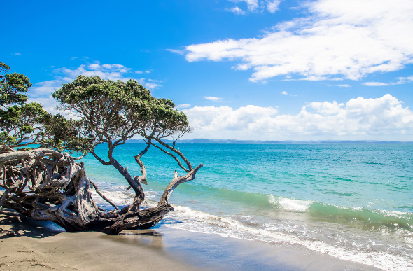 A stretch of beach along the Whangaparaoa Peninsula. Picture: Getty Images