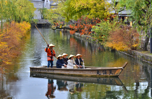 Bikan, Japan