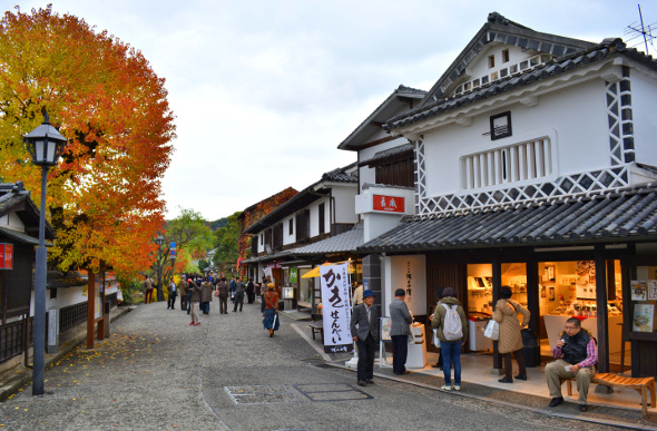 Bikan, Japan