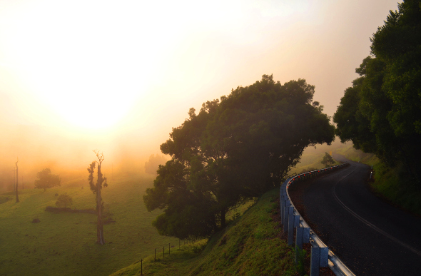 Brisbane day trip to misty mountain roads