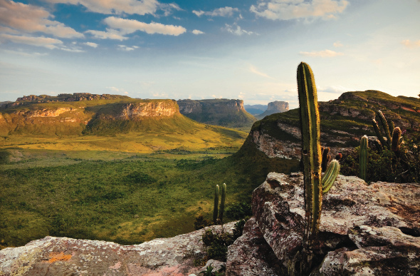 A view of the rocky outcrops and plateaus in Chapada Diamantina National Park