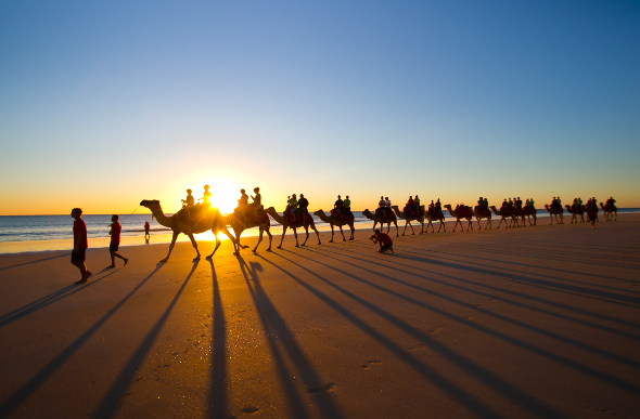 The sun casts long shadows as tourists ride camels along Western Australia's Cable Beach at sunset.