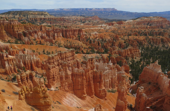 Hoodoos in Bryce Canyon National Park, Utah, USA.