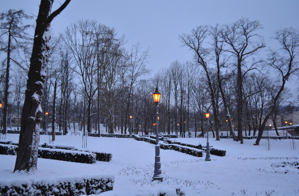 Trees and lamps covered in snow